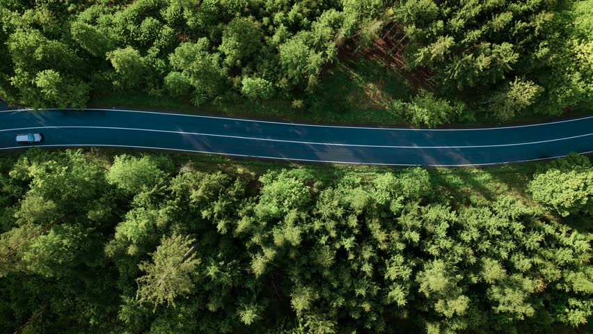 Aerial view car driving down asphalt road crossing vast timberland on summer day. Aerial shot of car driving on road in pine tree forest. Road trip through forest