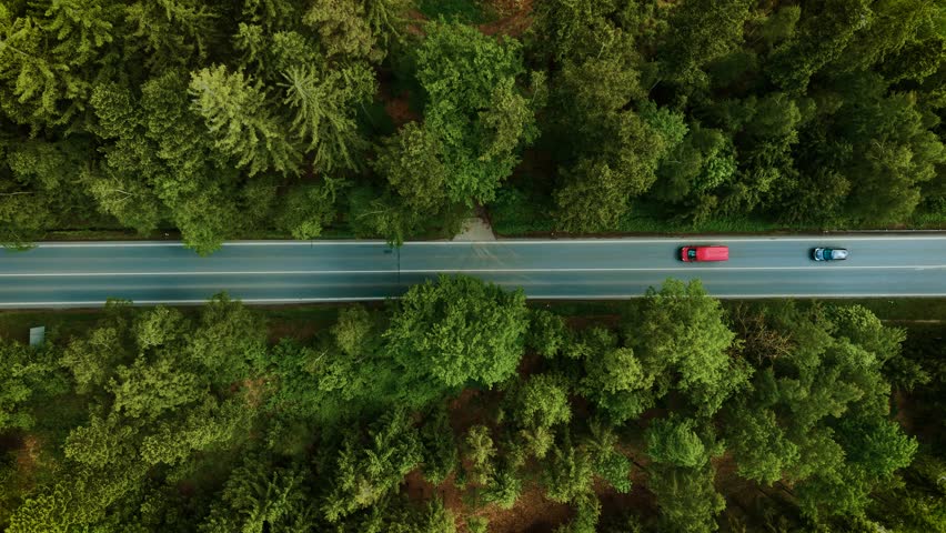 Automobile driving along forest road. Red van moving under bright sky top view. Transport cruising between tall green trees on smooth highway. Car traveling on scenic route through woodland area