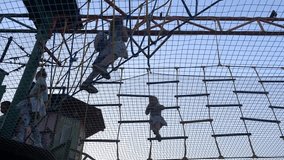 Children embrace an exciting challenge on a rope park course. As they balance and climb, their expressions show determination and joy, set against a calming evening sky backdrop.
 - Powered by Shutterstock - Get 15% off with code: PIKWIZARD15