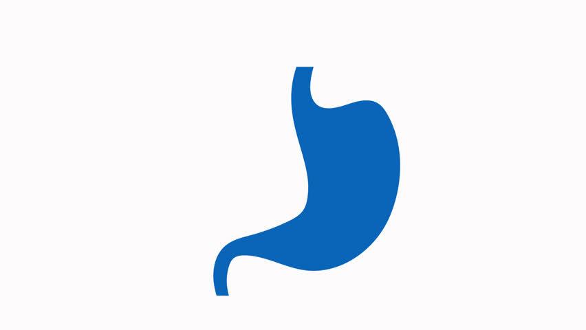 stomach icon animation simple flat