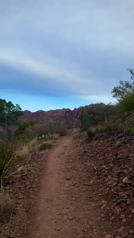 Rocky Trail Through The West Texas Mountains (Big Bend National Park, Texas, USA)