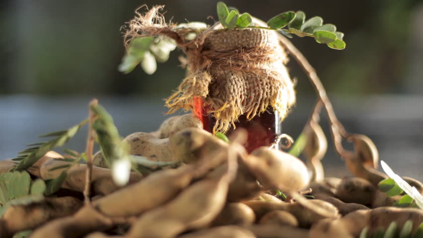 Traditional Ayurvedic Tamarindus indica Extract in Glass Bottle Wrapped with Gunny Cloth and String – Natural Tamarind Remedy for Skin Care, Acne Spots, Pores and Herbal Beauty Treatment.
