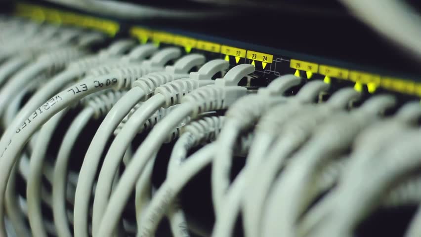 Close-up of internet cables connected in a network hub with selective focus and shallow depth of field, illustrating networking, connectivity, and IT infrastructure.