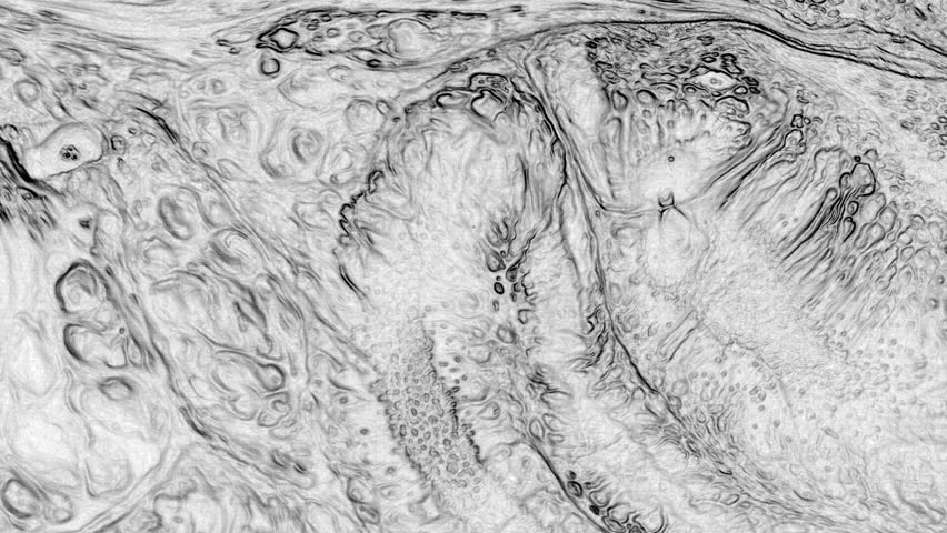 This stock video features an abstract liquid black and white painting in motion. Use this  motion background for ads, presentations, slideshows, text background for TV and the movies, and more.