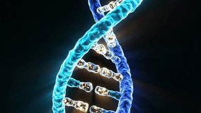 A detailed close-up view of a luminescent blue double helix DNA structure with internal golden light against a dark background. - Powered by Shutterstock - Get 15% off with code: PIKWIZARD15