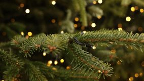 Christmas background. Close-up on fir branches with glowing garland. - Powered by Shutterstock - Get 15% off with code: PIKWIZARD15