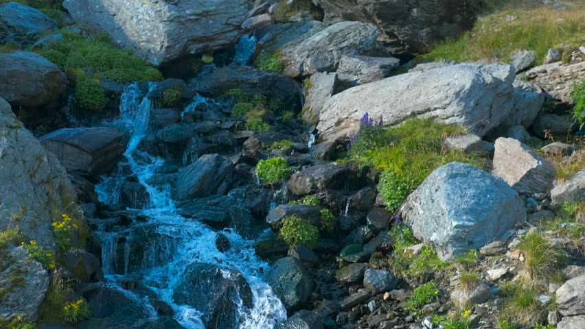 Mountain stream cascading over rocky terrain. Crystal clear water from a wild mountain stream flowing down a rocky slope, creating a small waterfall amidst green grass and stones