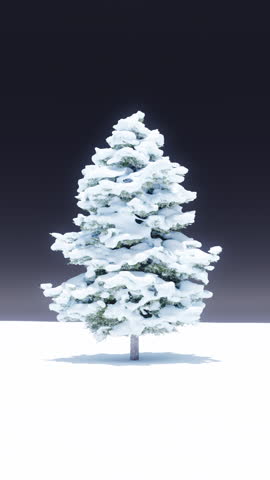 A silvery Christmas scene with a traditional pine tree rotating 360 degrees under the snow. Seamless loop.
