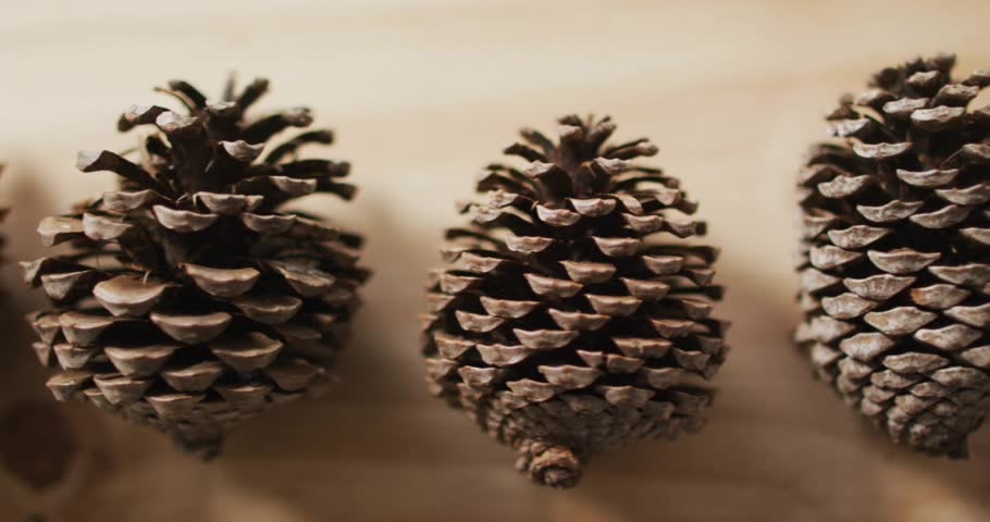 Gold Holly Jolly fading causing dark Christmas sliding and growing over pine cones making greeting. Conifer, tabletop, woodgrain, warm, cozy, holiday, typography