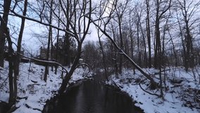 Cinematic FPV shot following a twisted winter creek path with icy curves and bare snow-covered forest. - Powered by Shutterstock - Get 15% off with code: PIKWIZARD15
