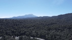 Aerial Drone Over Pine Forest Toward Iztaccihuatl Snow Volcano - Powered by Shutterstock - Get 15% off with code: PIKWIZARD15