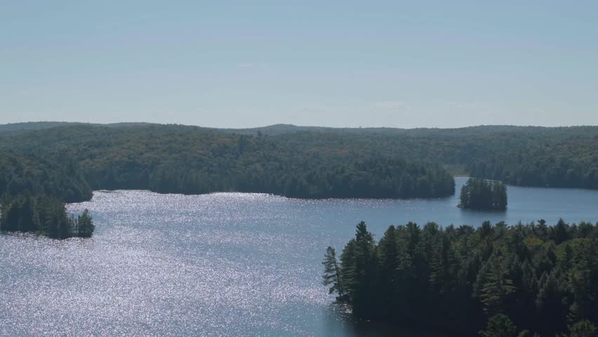 Horizontal video of serene Algonquin Forest canopy swaying in warm summer sunlight in Ontario, Canada.