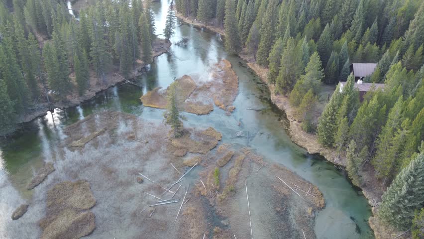 Aerial footage of Island Park, Idaho, showcasing the wetlands, river, and forest landscape near Yellowstone. Ideal for nature documentaries.
