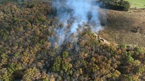 Aerial animated heatmap visualization showing shifting thermal gradients and glowing red-orange intensity zones, creating a dynamic abstract data landscape with flowing motion and analytical energy. - Powered by Shutterstock - Get 15% off with code: PIKWIZARD15
