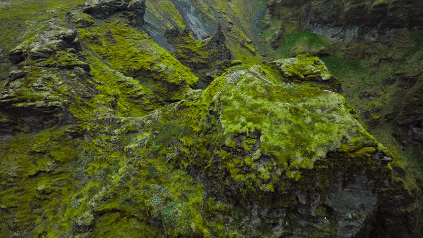 Close-up aerial view of mossy natural detail in Mulagljufur Canyon. Drone footage showcasing Iceland’s vibrant green textures and rocky cliff surfaces in soft, diffused light.