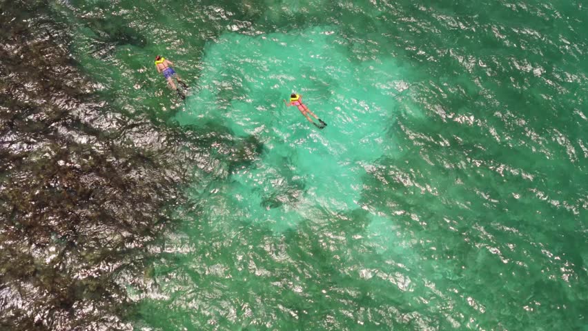 Snorkeling On The North Coast Of Jamaica