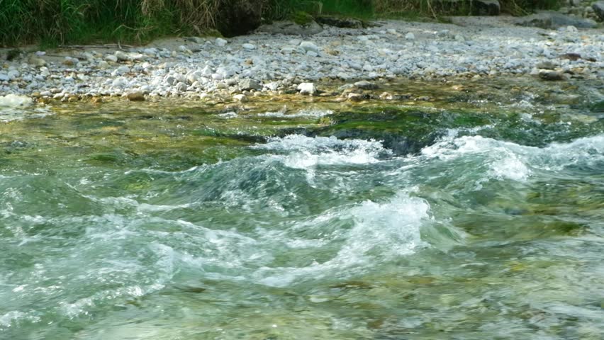 Fast Green River Flowing Through Forest, Slow Motion Nature Scene