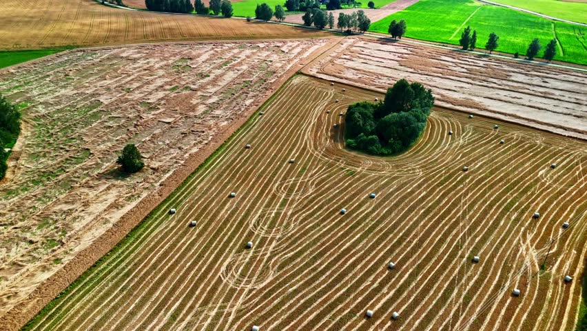 Baled hay fields in agricultural landscape with summer textures and patterns