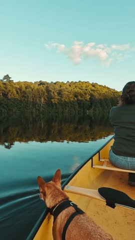 A vertical, back shot of a young woman gracefully paddles her canoe across the serene waters of Algonquin Provincial Park in Ontario, Canada at sunset