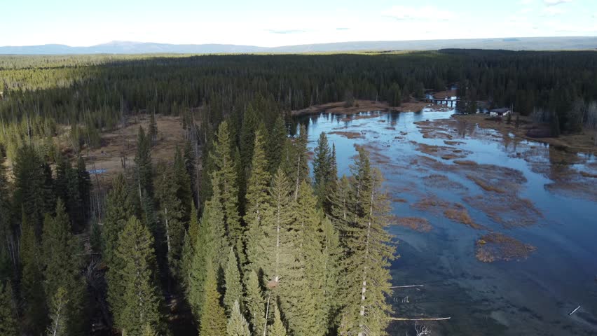 Island Park, Idaho, aerial clip highlighting river channels, wetland terrain, and a quiet cabin in the forest. Great for outdoor storytelling.