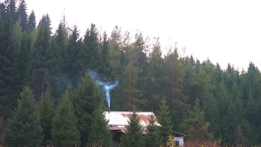 Small cabin with smoke coming from chimney in a dense green mountain forest