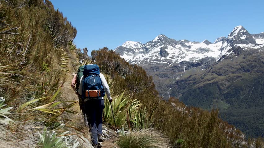 A back view footage of the hikers walking on the Routeburn Track in Otago region in the South Island of New Zealand, on a sunny day