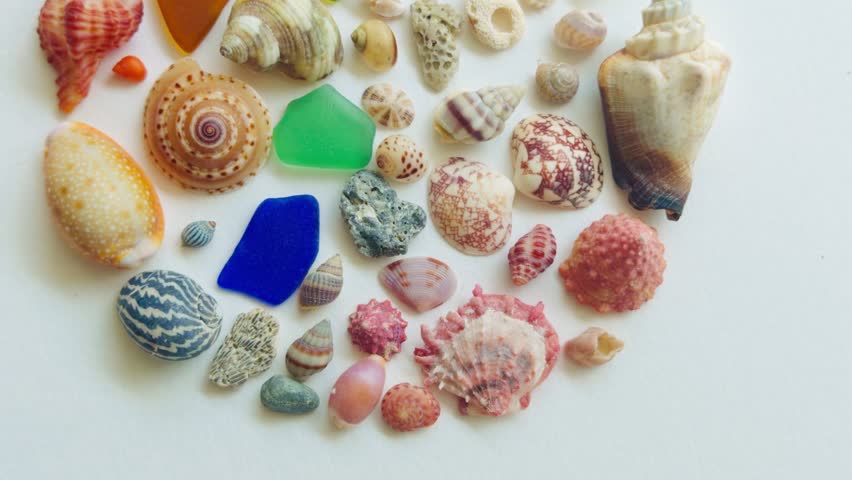 Seaglass And Seashell Art Circle 