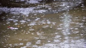 Raindrops falling on a puddle creating ripples and reflections on the waters surface during a light shower - Powered by Shutterstock - Get 15% off with code: PIKWIZARD15