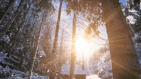 Slow-motion snowfall drifts through a peaceful winter forest as sunset light paints the trees in warm tones, creating a magical and serene seasonal atmosphere. - Powered by Shutterstock - Get 15% off with code: PIKWIZARD15