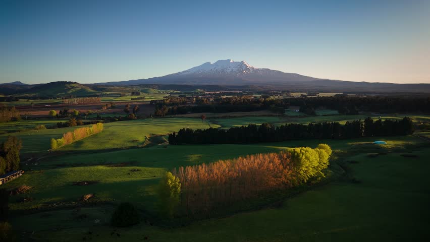 Aerial view of green fields and a snow-capped mountain peak, contrasting with the clear blue sky in the background, Ohakune, Manawatu-Whanganui Region, New Zealand.