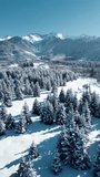 Aerial view of mountain valley with snow - Powered by Shutterstock - Get 15% off with code: PIKWIZARD15