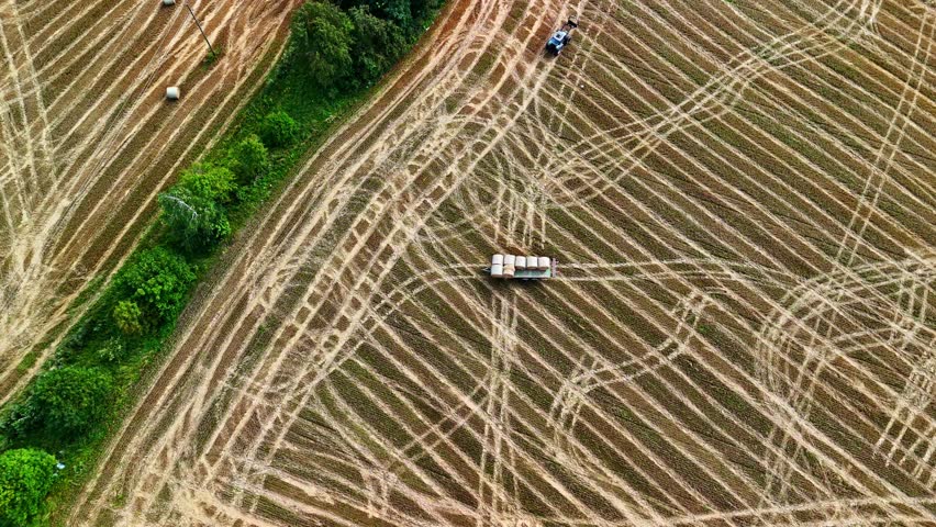 Tractor trailer with bales on Baled hay fields in agricultural landscape with tire marks