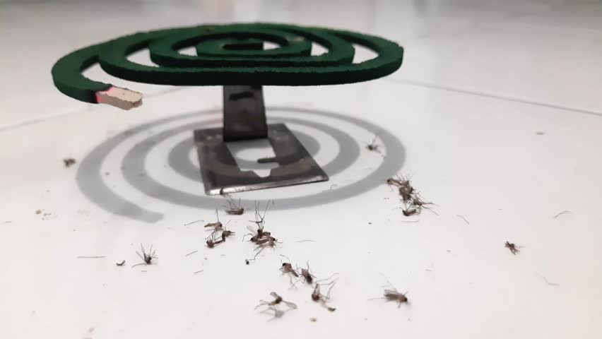 A group of dead mosquitoes with a mosquito repellent burner on a ceramic floor