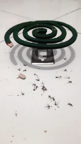 A group of dead mosquitoes with a mosquito repellent burner on a ceramic floor