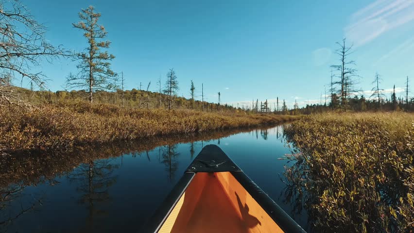 A hyperlapse of a canoe gliding effortlessly through calm creek surrounded by rural lush landscape under clear sky in Algonquin Park, Ontario, Canada
