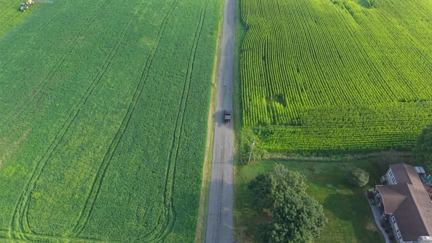 A drone view of a black truck Driving through cornfields, with rural houses at the daytime