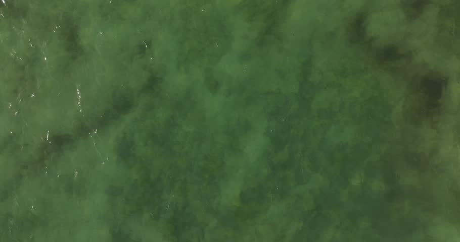 An aerial shot of a dhow boat sailing in beautiful turquoise water on the coast of Mozambique in Cabo Delgado