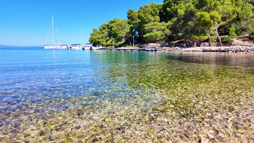 Serene coastal scene with crystal clear waters and boats near lush green pine trees.