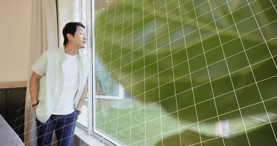 Teenage male leaning by window tracking cat walking on lawn, math grid animating glass for study. Youth, editorial, abstract, education, livingroom, curiosity, reflection