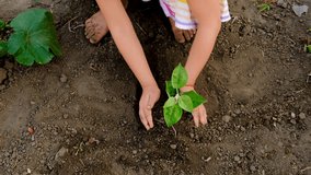 A child plants a tree in the garden. Selective focus. - Powered by Shutterstock - Get 15% off with code: PIKWIZARD15