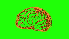 A rotating 3D brain animation on a clean green screen background, ideal for chroma-key editing. Perfect for medical presentations, neuroscience visuals, AI concepts, technology themes. - Powered by Shutterstock - Get 15% off with code: PIKWIZARD15