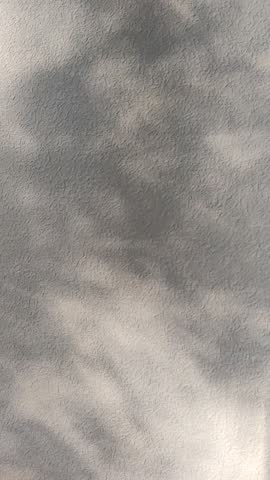 Shadows stretch gently in warm sunlight. It conveys quiet elegance and the peaceful flow of daylight.