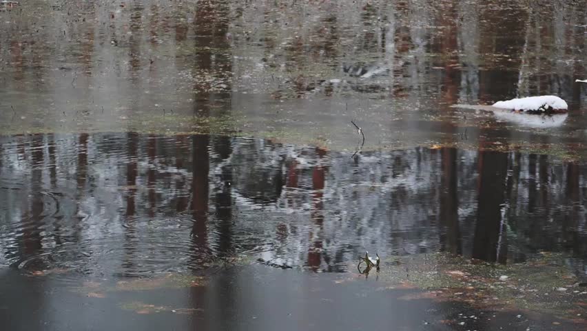 Slow Motion Falling Slush - Melting snow splashing in forest pool dark water with reflections