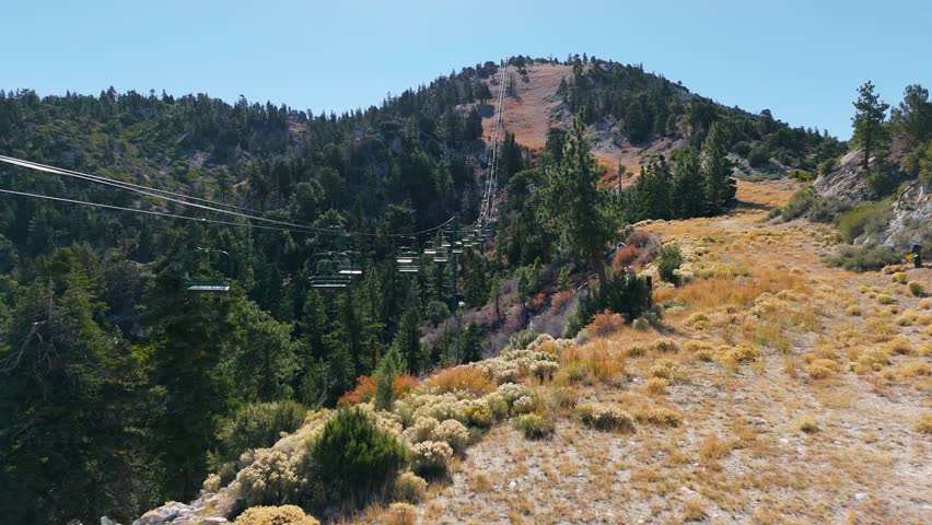 Autumn Ski Lift Over Pine Forest in Big Bear Lake