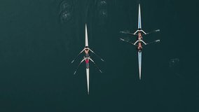 Top View Sunrise Over Halifax Harbor Rowers Training Cinematic Aerial Scene. Male And Female Athletes Row Peacefully Across Golden Ocean Preparing For Upcoming Competitions. - Powered by Shutterstock - Get 15% off with code: PIKWIZARD15