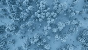 Aerial frosted treetop mosaic cinematic drone slow motion close overhead of snow-clad crowns, film crew scouting dramatic winter texture, soft blue hue and delicate shadow play for atmospheric b-roll - Powered by Shutterstock - Get 15% off with code: PIKWIZARD15