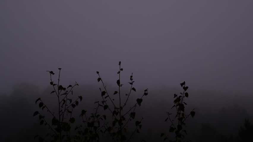 Misty landscape with fir forest. Cottage roof, bungalow. Surreal atmospheric mood. Dark Spruce Wood silhouette surrounded by Fog. Panoramic foothills, mountains. Surreal journey, spirituality