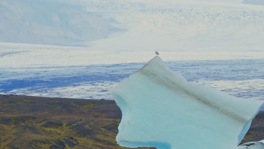 A wide shot of the famous Jökulsárlón glacier lagoon in southeastern Iceland. The footage captures the serene landscape with a large iceberg floating in the foreground, topped with a lone bird.