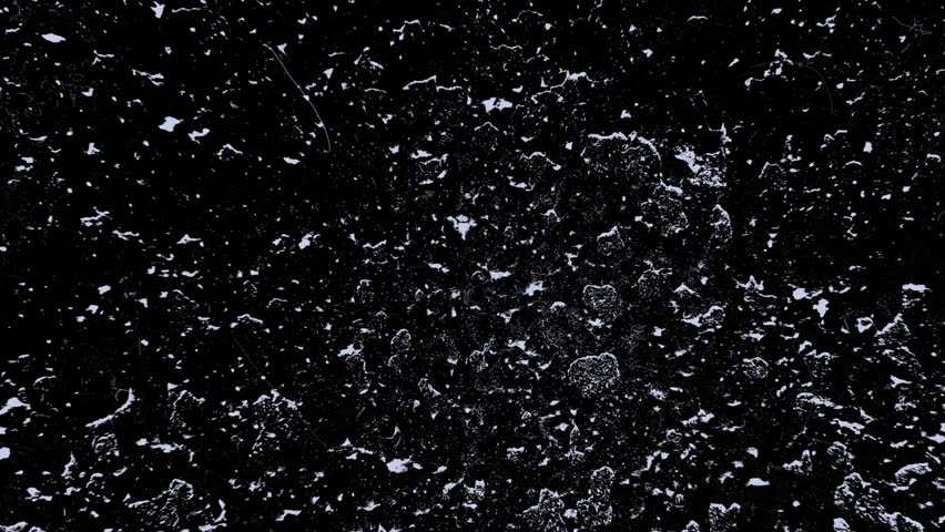 Aggressive rapid transitions Dust Grunge and Scratch Overlay with intense noise for music video and promo edits