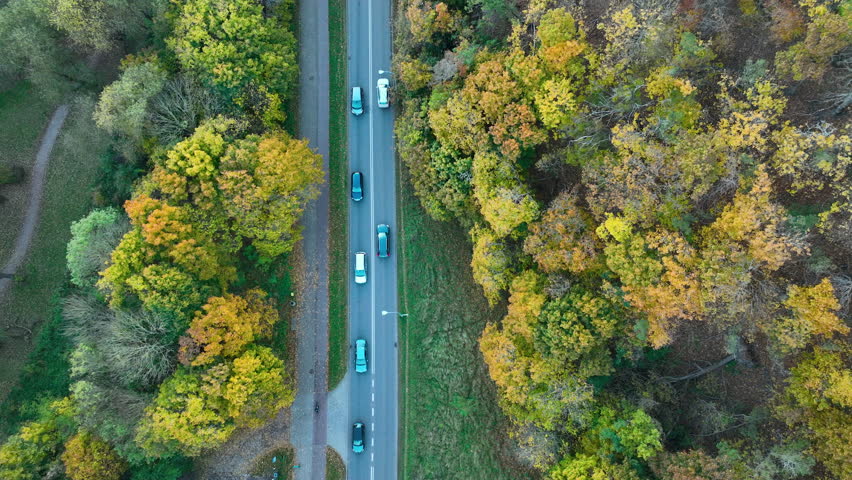 Aerial top-down shot of a road cutting through a colorful autumn forest with cars passing by in Gdańsk.